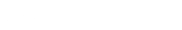 Speedy Digital Plr